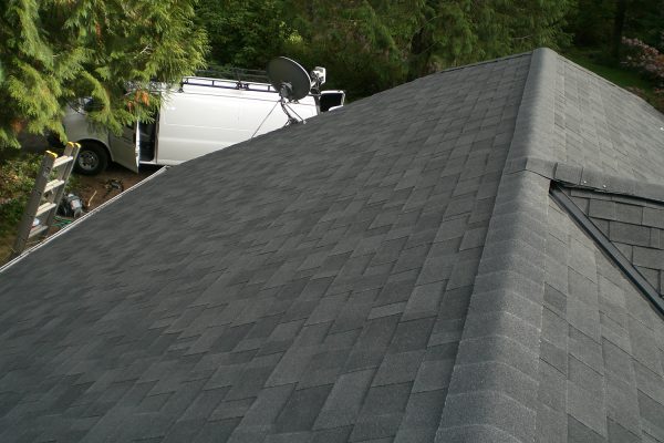 Roof and shingles
